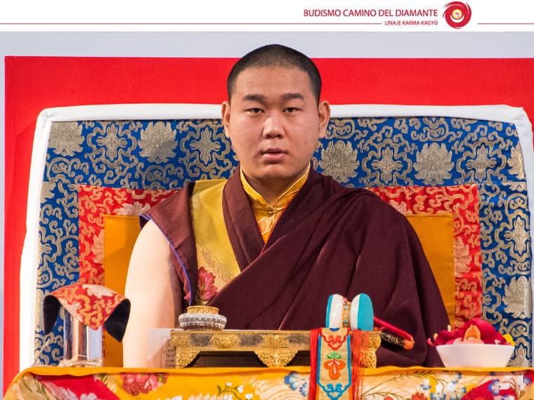 S.E. 4º Jamgon Kongtrul Rinpoche